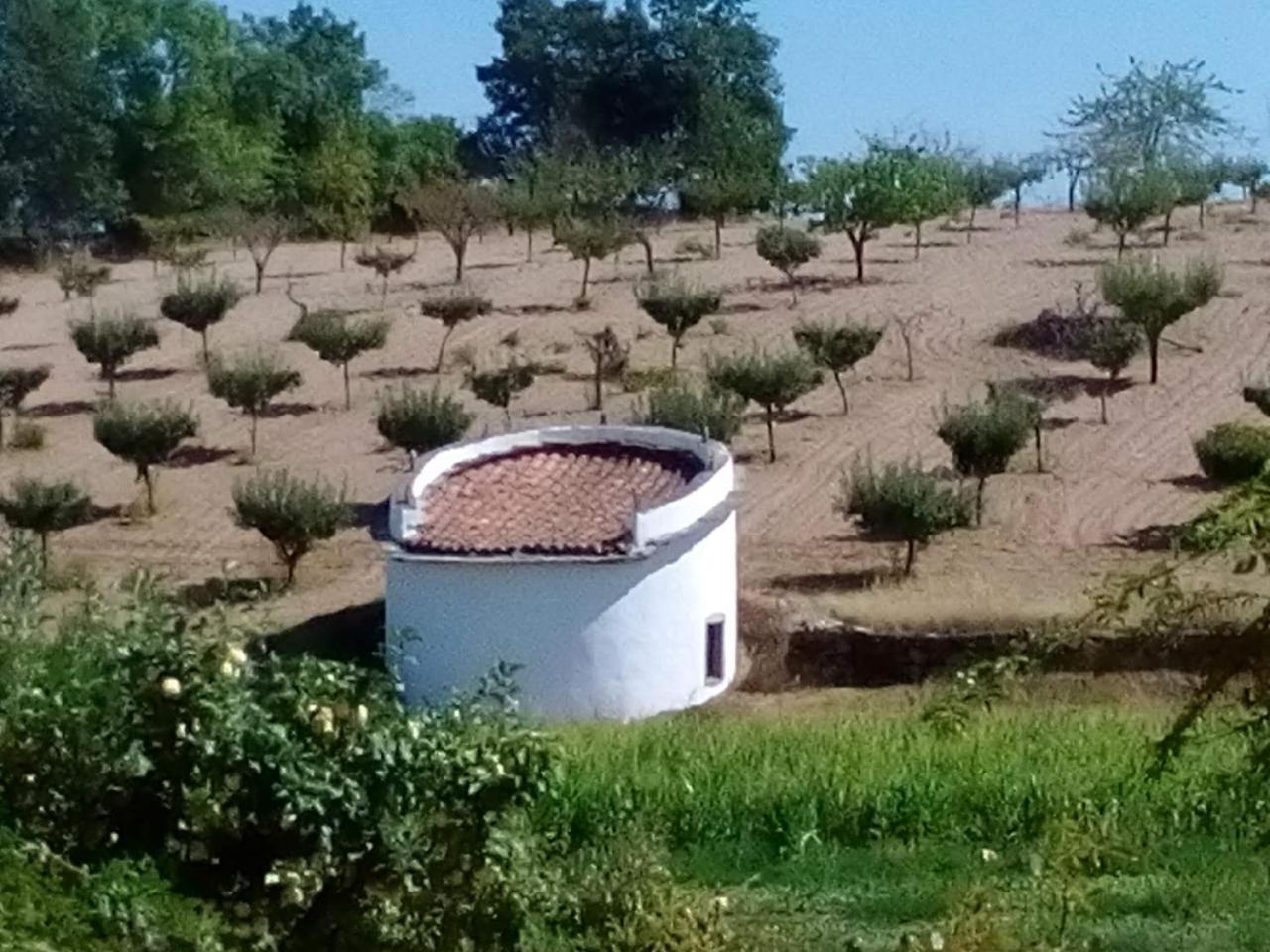 Casa Dos Pombais De Cacarelhos Rural Villa Exteriör bild
